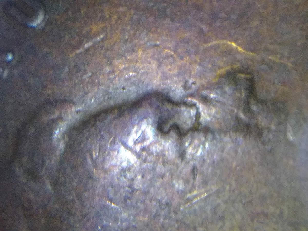 1927-P-Wheat-Penny.-What-Happebed?