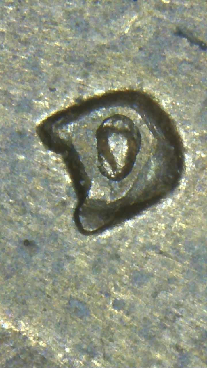 1982-D-LMC-Mint-Mark