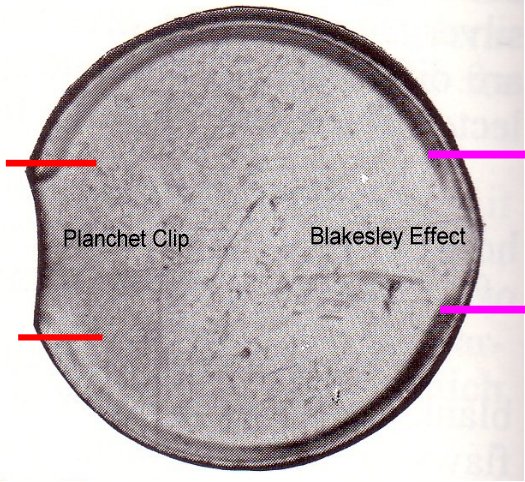 PMD-Or-Clip-And-Collar-Issues-During-Minting?
