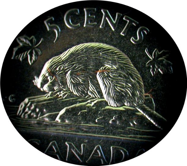 2007-Nickel--Plating--Obstruction--Error