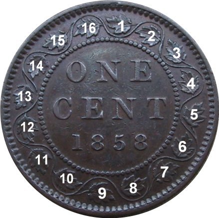 Numerical-Leaf-Counting-On-Canada-Large-Cent