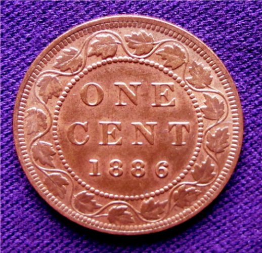1886-Large-Cent-Grade-Opinions