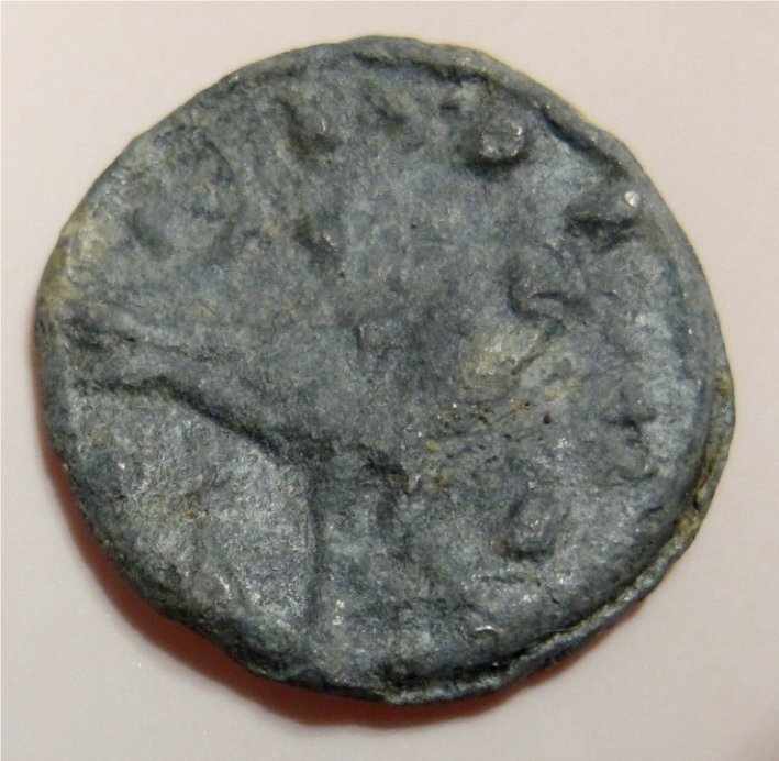 Lead-Ancient-With-Bird-For-ID