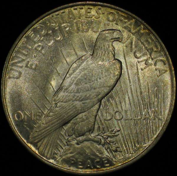 The-11-Days-Of-Peace-Dollars!
