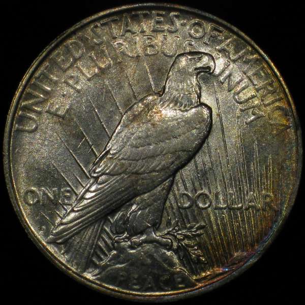 The-11-Days-Of-Peace-Dollars!