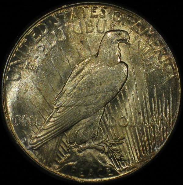 The-11-Days-Of-Peace-Dollars!