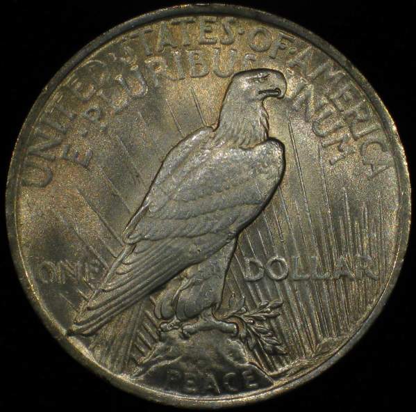 The-11-Days-Of-Peace-Dollars!