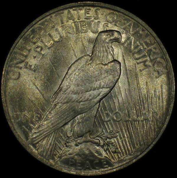 The-11-Days-Of-Peace-Dollars!