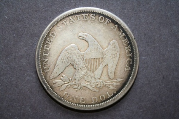 Real-Or-Fake?-1861-Dollar