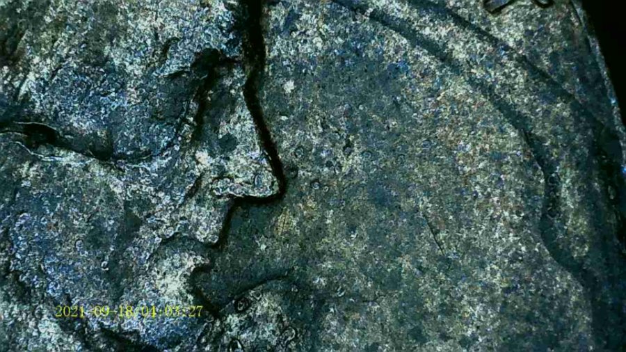 1983-Lincoln-Cent.-Multiple-Errors/Identification