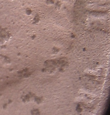 1929-Lincoln-Cent---Need-Help-_Updated--Great-Photo