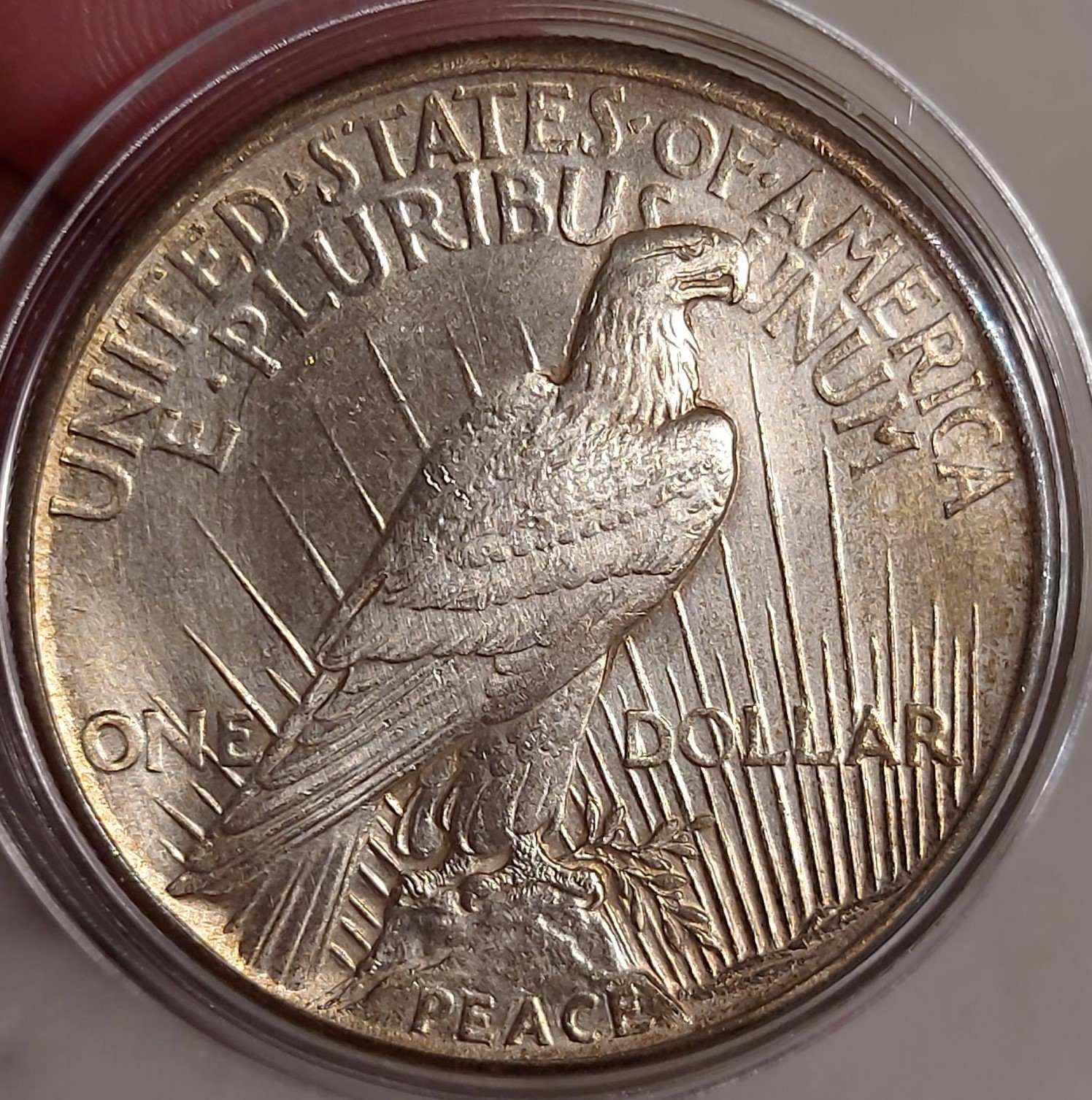 1921-Peace-Dollar.-Opinions-Welcome