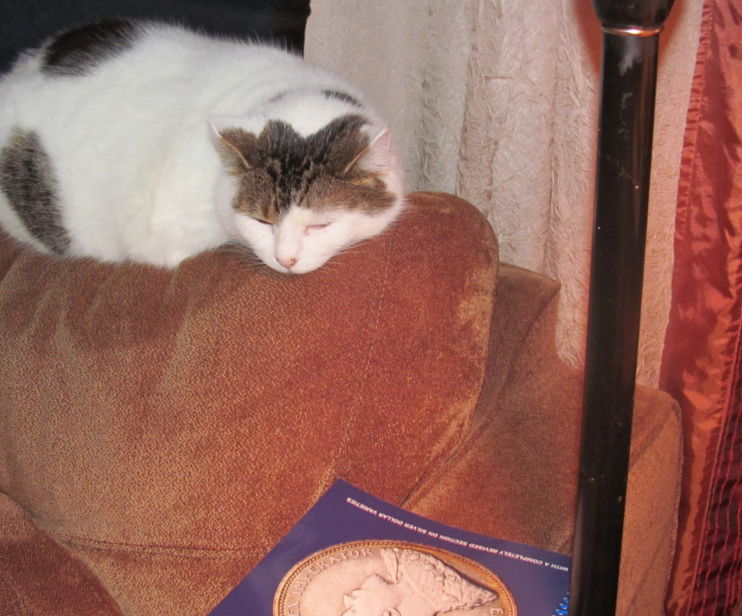 Supervisors-Sleeping-On-The-Job.....