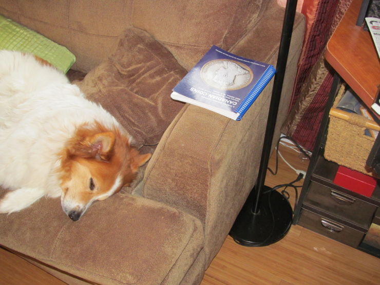 Supervisors-Sleeping-On-The-Job.....