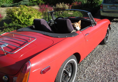Is-There-An-Oakridge-Coin-Show-This-Weekend-In-Vancouver?