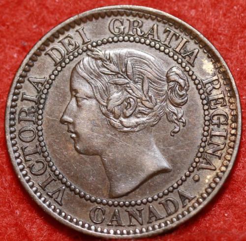 A-Very-Expensive-Regular-1859