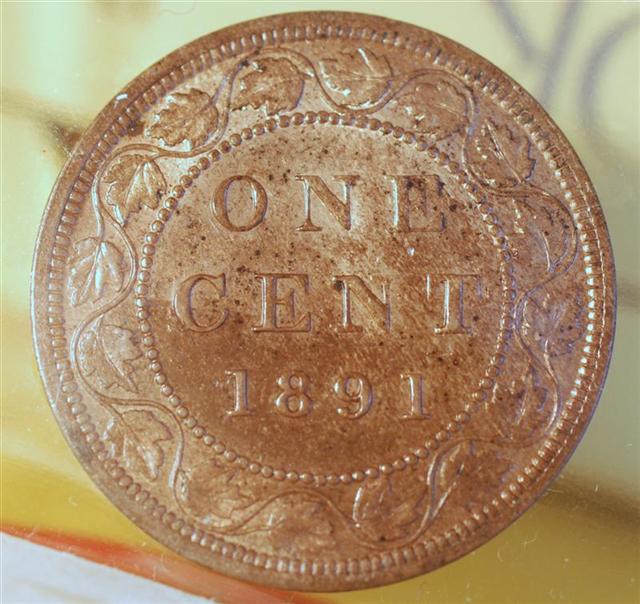 1891--LL-LD-..--Cent-...obv-#-2-..in-Need-Of-A-Grade