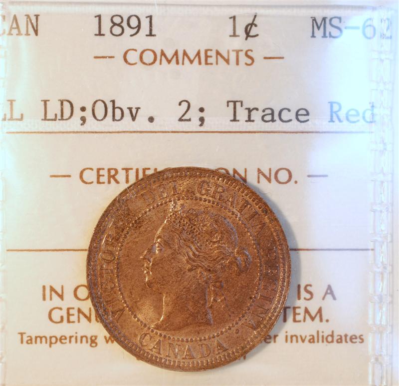 1891--LL-LD-..--Cent-...obv-#-2-..in-Need-Of-A-Grade