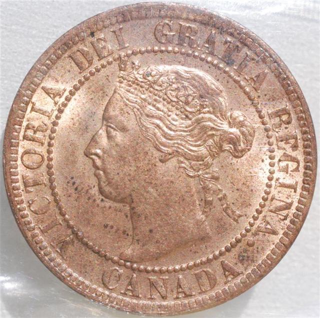 1899-Large-Cent--....in-Here-For-A-Grade