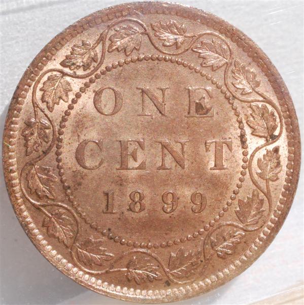 1899-Large-Cent--....in-Here-For-A-Grade