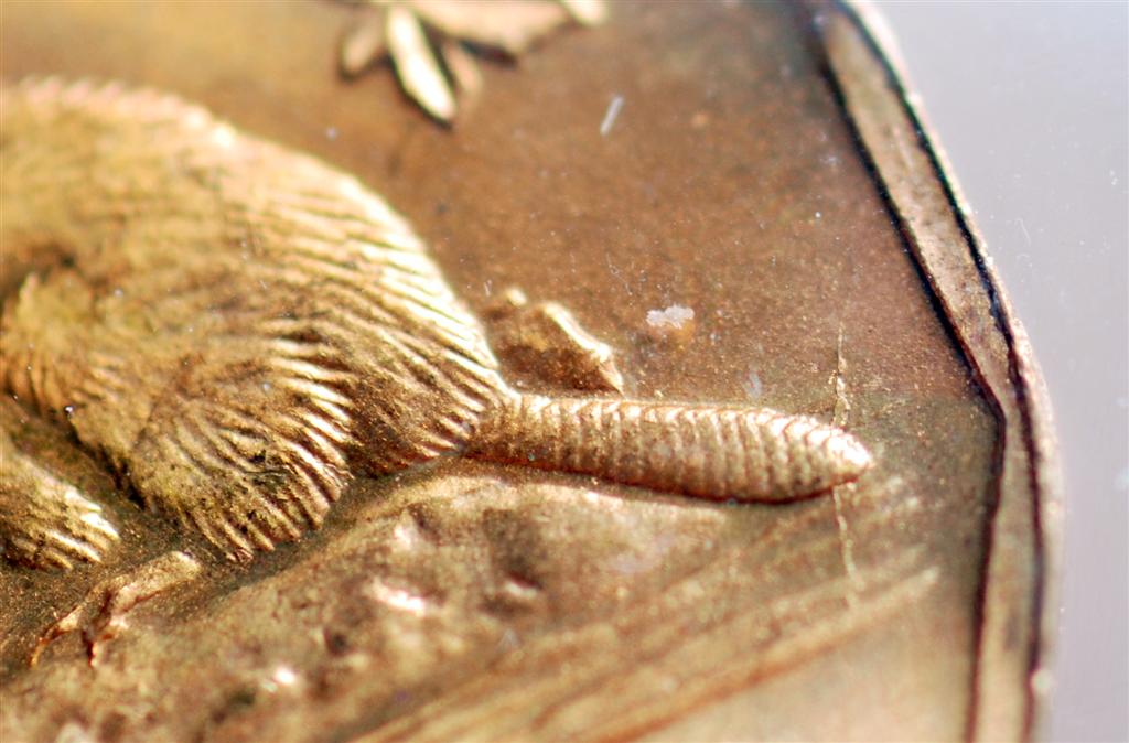 The-10-Days-Of-Canadian-5-Cent-Pieces