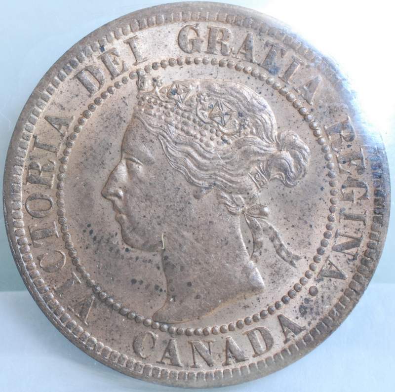 OK-Lets-See-All-Your-Large-Cent-Varieties-From-1876-And-On