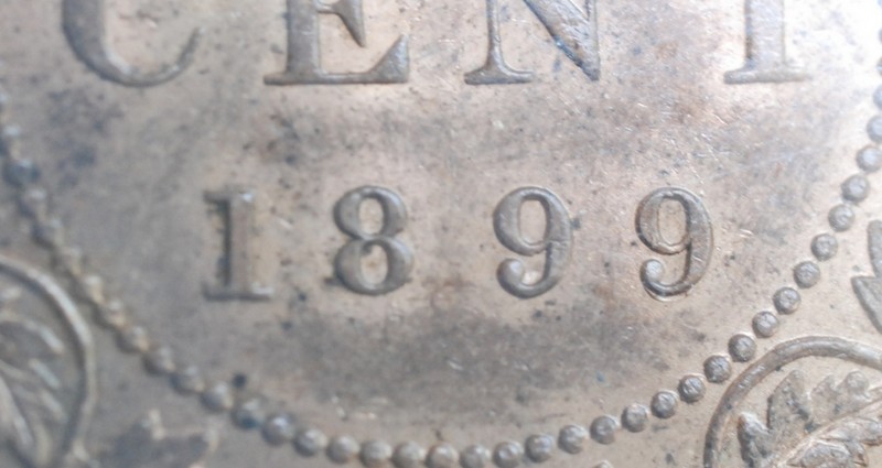 OK-Lets-See-All-Your-Large-Cent-Varieties-From-1876-And-On
