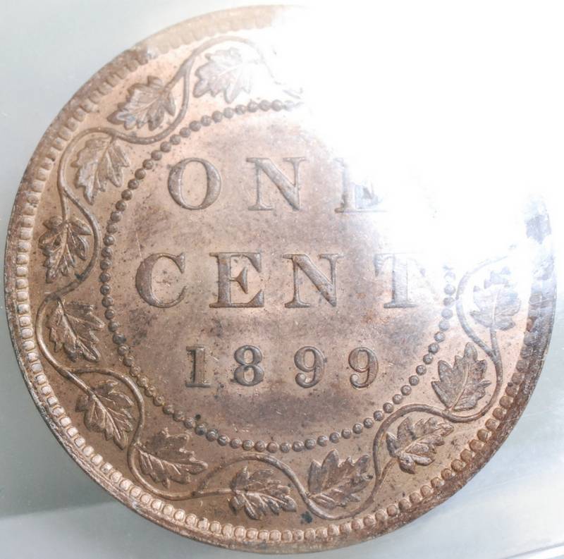 OK-Lets-See-All-Your-Large-Cent-Varieties-From-1876-And-On