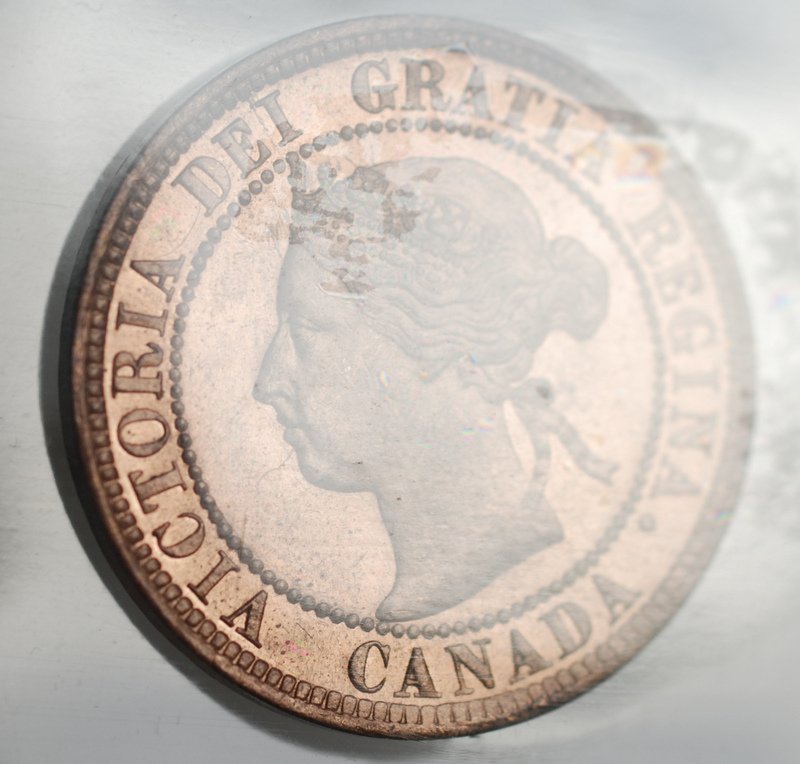 OK-Lets-See-All-Your-Large-Cent-Varieties-From-1876-And-On