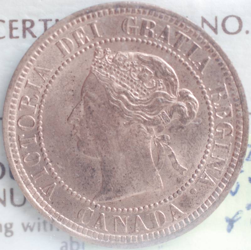 OK-Lets-See-All-Your-Large-Cent-Varieties-From-1876-And-On