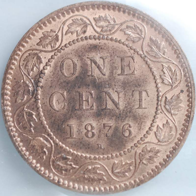OK-Lets-See-All-Your-Large-Cent-Varieties-From-1876-And-On