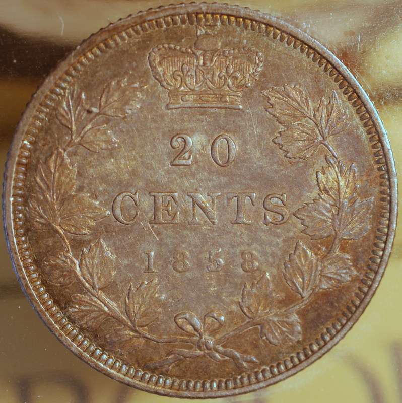 1858-20-C-Grades-And-Comments-Please