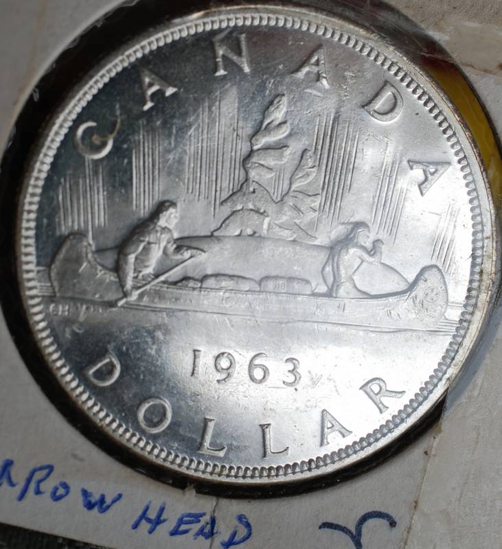Silver-And-Nickle-Dollar-Arrowhead-Varieties