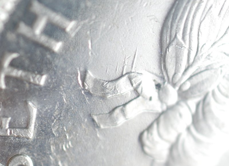 Silver-And-Nickle-Dollar-Arrowhead-Varieties
