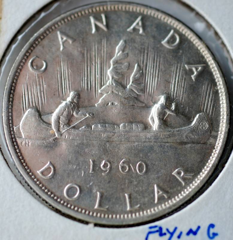 Silver-And-Nickle-Dollar-Arrowhead-Varieties
