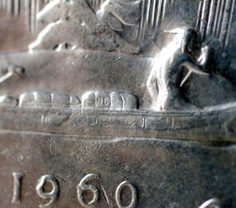 Silver-And-Nickle-Dollar-Arrowhead-Varieties