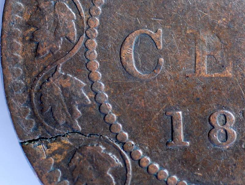 OK-Lets-See-All-Your-Large-Cent-Varieties-From-1876-And-On