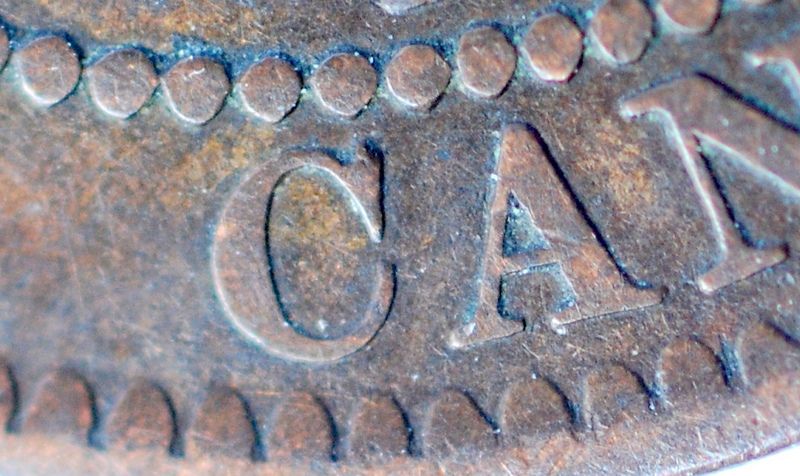 OK-Lets-See-All-Your-Large-Cent-Varieties-From-1876-And-On
