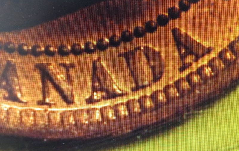 '81-Large-Cent-Micro-D