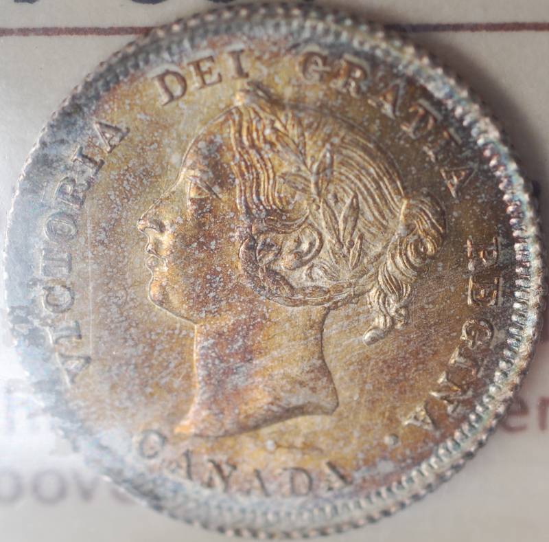 1880-5-Cent-Silvers..2-Very-Different-Varieties