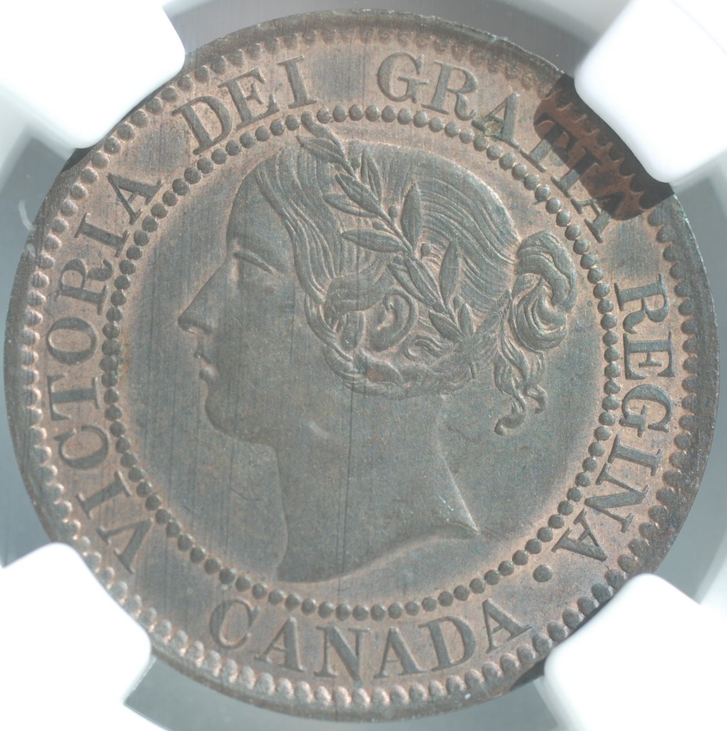 Question-On-1859-Dp5's
