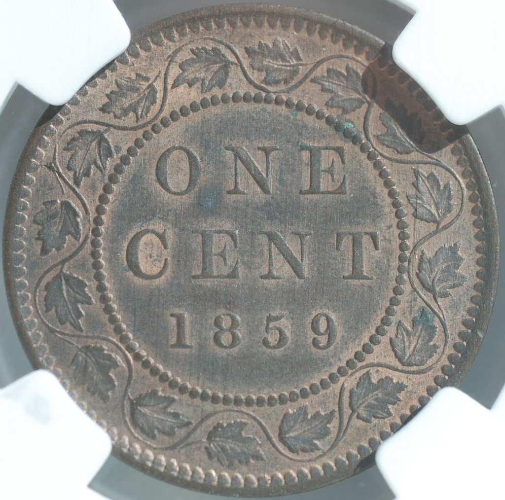 Question-On-1859-Dp5's