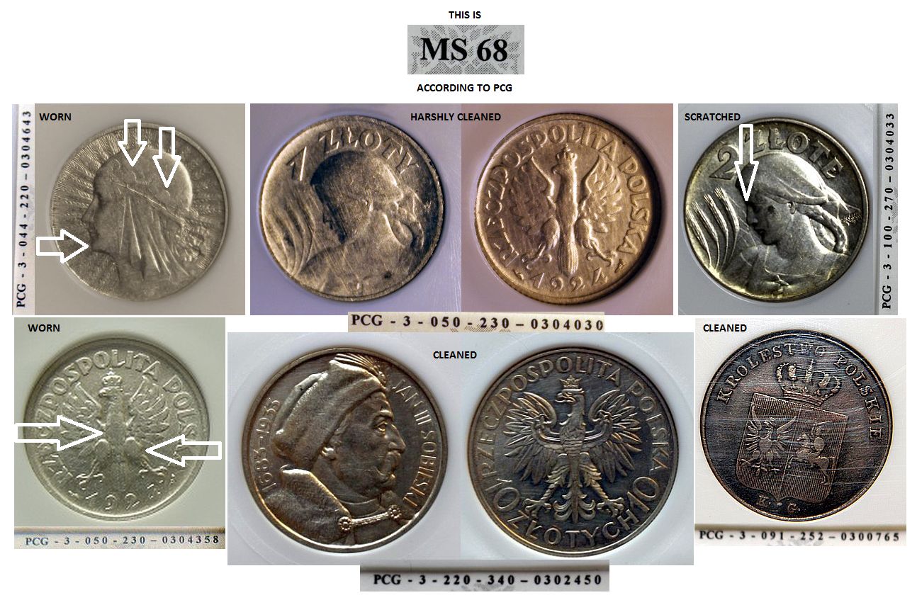 Other-TPGs---The-Smaller,-Local,-And-Obscure-Grading-Companies.