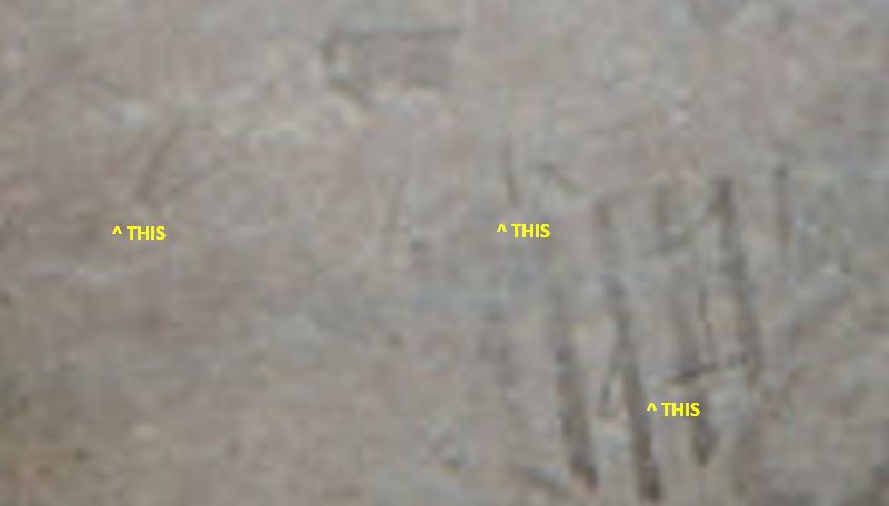 Bust-Quarter---Where-Is-Damage