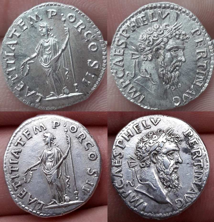 What's-The-Difference-Between-These-Two-Fake-Pertinaxes?