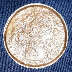 This-Is-A-Washington-Quarter-Missing-Obverse-Clad