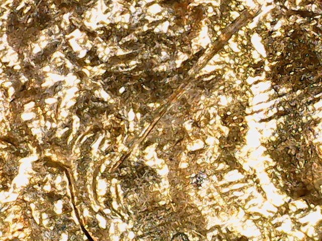 2012-Lincoln-D-Shield-Penny-Obverse-Lamination?