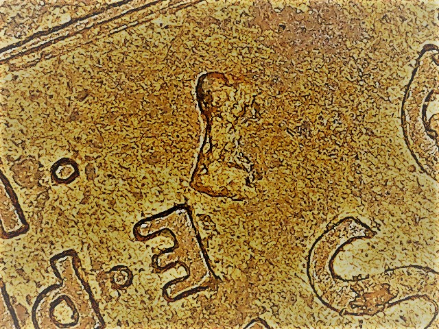 1995-Lincoln-D-Large-Die-Chip-Reverse
