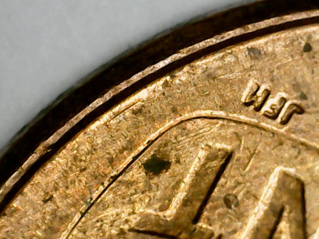 2013-Lincoln--D-Shield-Mule?