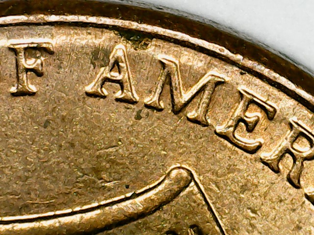 2013-Lincoln--D-Shield-Mule?
